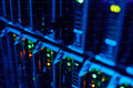 Business Pro Web Hosting