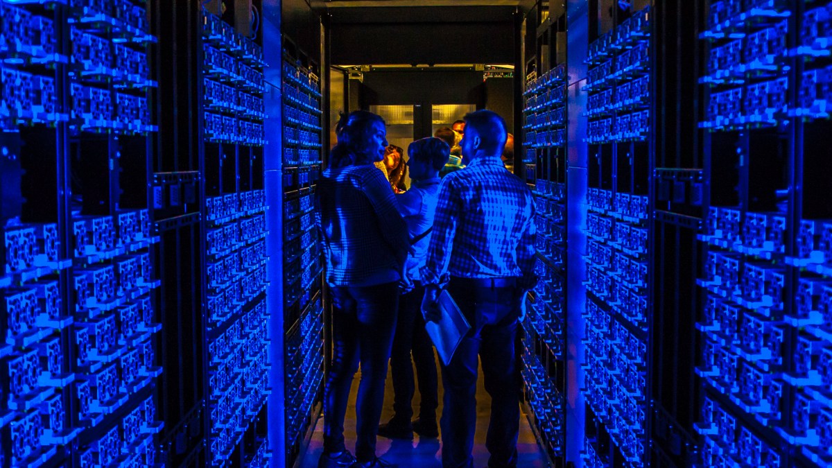 Professional Web Hosting